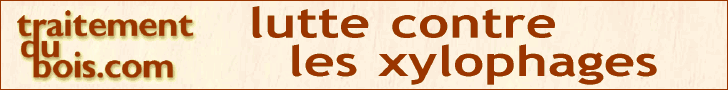 traitement de charpente
